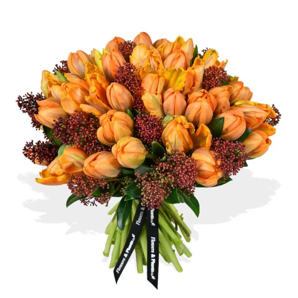 Parrot Tulip Plush