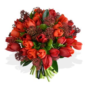 Tulips & Skimmia