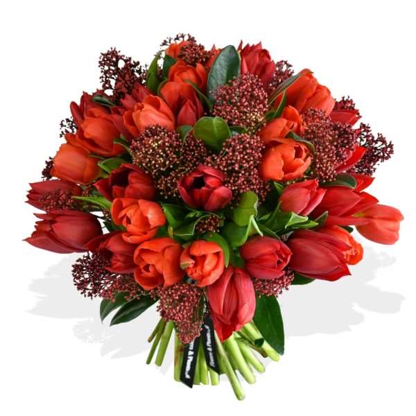 Tulips & Skimmia