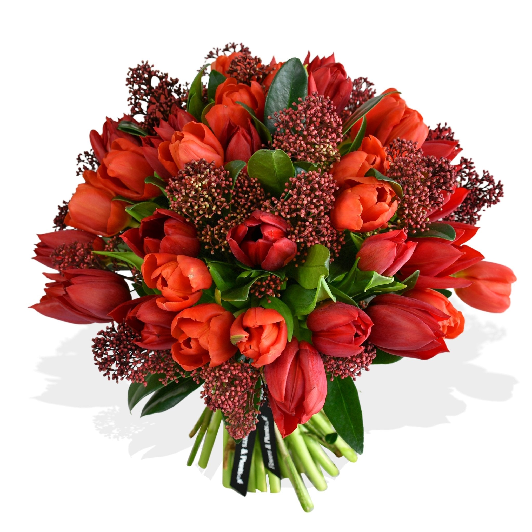 Tulips & Skimmia